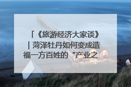 《旅游经济大家谈》｜菏泽牡丹如何变成造福一方百姓的“产业之花”“富民之花”？