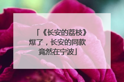 《长安的荔枝》爆了，长安的同款竟然在宁波