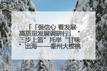 「强信心 看发展·高质量发展调研行」“三步上篮”托举“甘味”出海——秦州大樱桃高质量发展动作分解