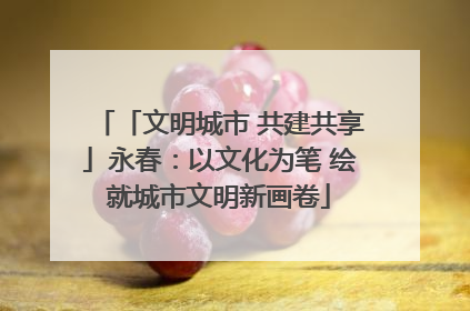 「文明城市 共建共享」永春：以文化为笔 绘就城市文明新画卷