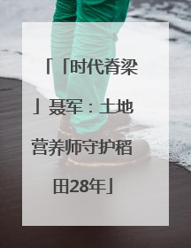 「时代脊梁」聂军：土地营养师守护稻田28年