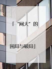 “网大”的困局与破局