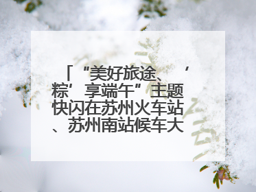 “美好旅途、‘粽’享端午”主题快闪在苏州火车站、苏州南站候车大厅上演