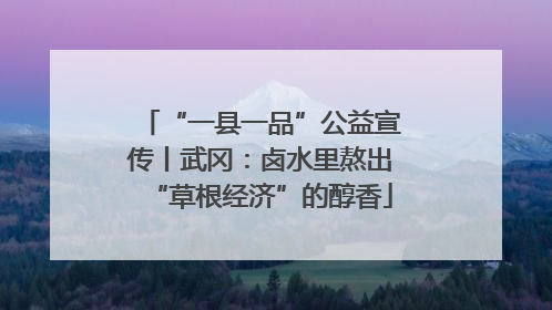 “一县一品”公益宣传丨武冈：卤水里熬出“草根经济”的醇香