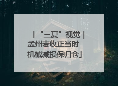 “三夏”视觉｜孟州麦收正当时 机械减损保归仓