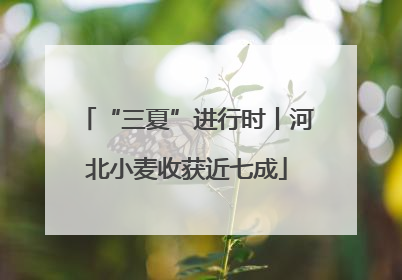 “三夏”进行时丨河北小麦收获近七成