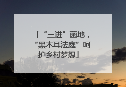 “三进”菌地，“黑木耳法庭”呵护乡村梦想