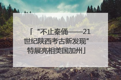 “不止秦俑——21世纪陕西考古新发现”特展亮相美国加州
