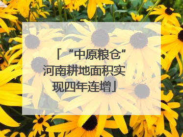 “中原粮仓”河南耕地面积实现四年连增
