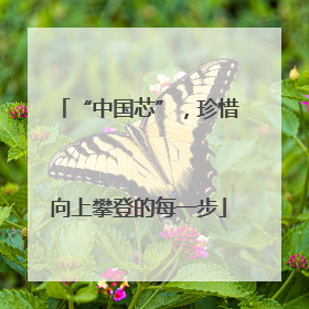 “中国芯”，珍惜向上攀登的每一步