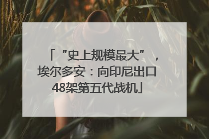 “史上规模最大”，埃尔多安：向印尼出口48架第五代战机