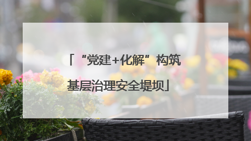 “党建+化解”构筑基层治理安全堤坝