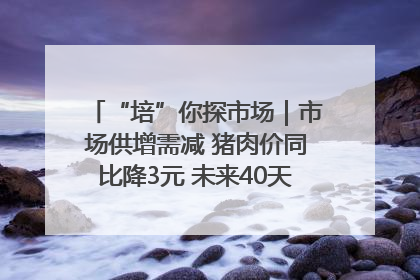 “培”你探市场｜市场供增需减 猪肉价同比降3元 未来40天便宜猪肉敞开吃