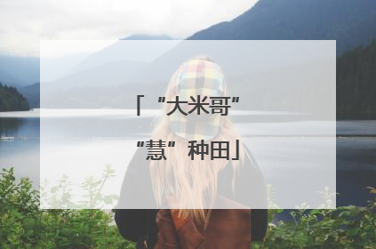 “大米哥”“慧”种田