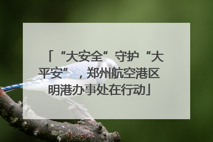“大安全”守护“大平安”，郑州航空港区明港办事处在行动