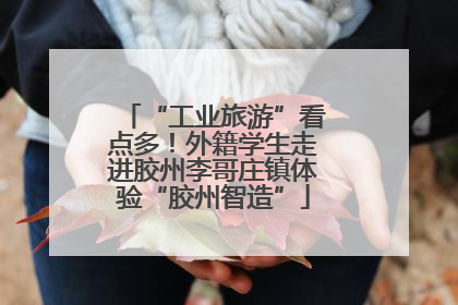 “工业旅游”看点多！外籍学生走进胶州李哥庄镇体验“胶州智造”