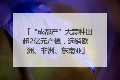 “成都产”大蒜种出超2亿元产值，远销欧洲、非洲、东南亚