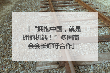 “拥抱中国，就是拥抱机遇！”多国商会会长呼吁合作