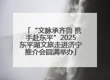 “文脉承齐鲁 携手赴东平”2025东平湖文旅走进济宁推介会圆满举办