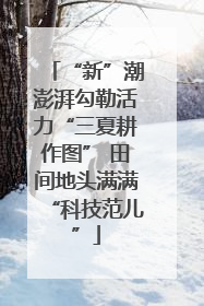 “新”潮澎湃勾勒活力“三夏耕作图” 田间地头满满“科技范儿”