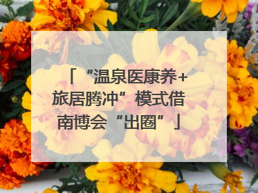 “温泉医康养+旅居腾冲”模式借南博会“出圈”