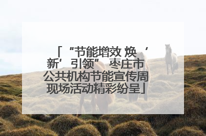 “节能增效 焕‘新’引领” 枣庄市公共机构节能宣传周现场活动精彩纷呈
