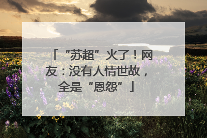 “苏超”火了！网友：没有人情世故，全是“恩怨”