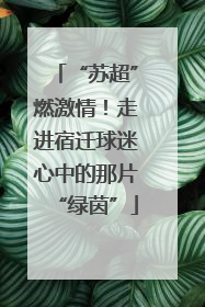 “苏超”燃激情！走进宿迁球迷心中的那片“绿茵”