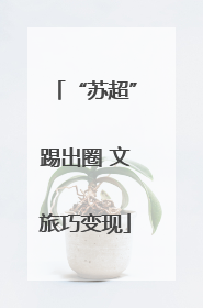 “苏超”踢出圈 文旅巧变现