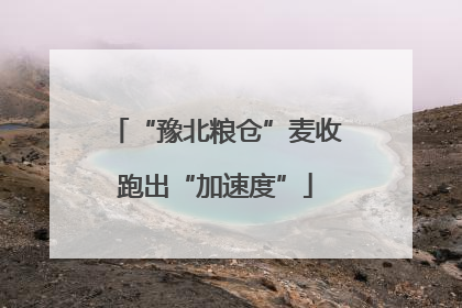 “豫北粮仓”麦收跑出“加速度”