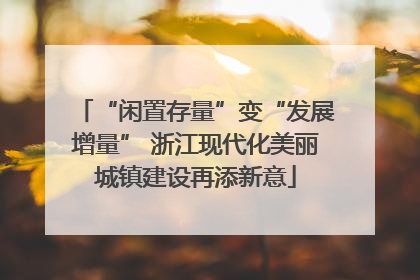 “闲置存量”变“发展增量” 浙江现代化美丽城镇建设再添新意
