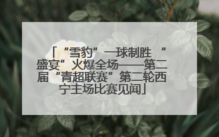“雪豹”一球制胜 “盛宴”火爆全场——第二届“青超联赛”第二轮西宁主场比赛见闻