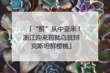 “鲜”从中亚来！浙江迎来首批乌兹别克斯坦鲜樱桃