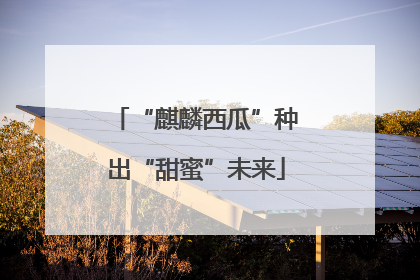 “麒麟西瓜”种出“甜蜜”未来