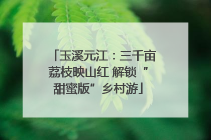 玉溪元江：三千亩荔枝映山红 解锁“甜蜜版”乡村游