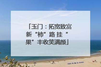 玉门：拓宽致富新“柿”路 挂“果”丰收笑满颜