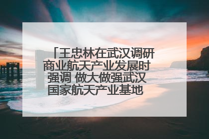 王忠林在武汉调研商业航天产业发展时强调 做大做强武汉国家航天产业基地 打造具有全国影响力的“中国星谷”