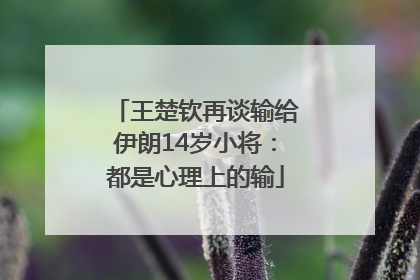王楚钦再谈输给伊朗14岁小将：都是心理上的输