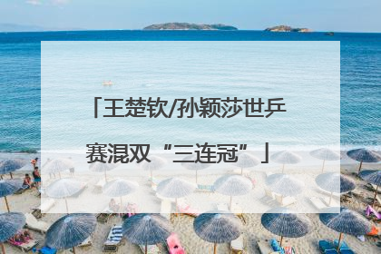 王楚钦/孙颖莎世乒赛混双“三连冠”