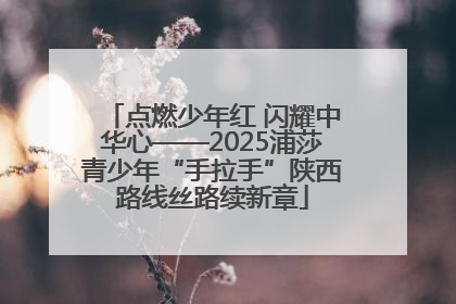 点燃少年红 闪耀中华心——2025浦莎青少年“手拉手”陕西路线丝路续新章