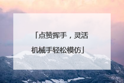 点赞挥手，灵活机械手轻松模仿