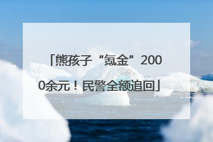 熊孩子“氪金”2000余元！民警全额追回