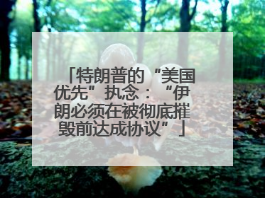 特朗普的“美国优先”执念：“伊朗必须在被彻底摧毁前达成协议”