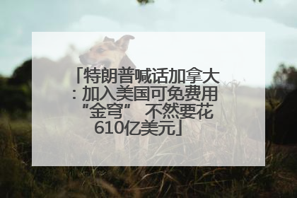 特朗普喊话加拿大：加入美国可免费用“金穹” 不然要花610亿美元