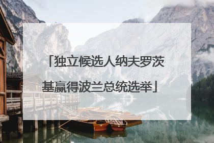 独立候选人纳夫罗茨基赢得波兰总统选举