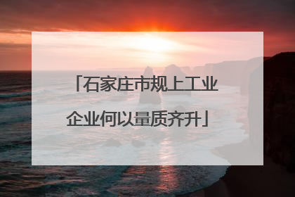 石家庄市规上工业企业何以量质齐升