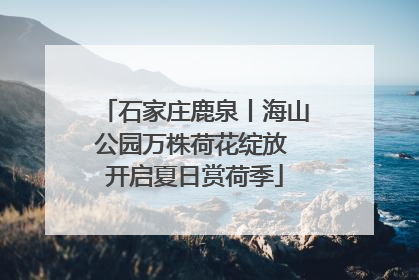 石家庄鹿泉丨海山公园万株荷花绽放 开启夏日赏荷季