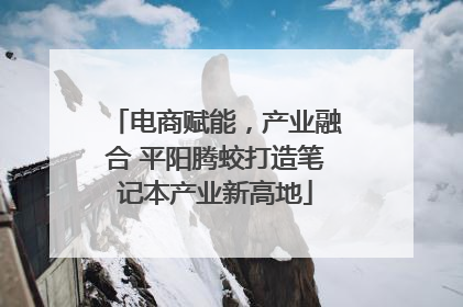 电商赋能，产业融合 平阳腾蛟打造笔记本产业新高地