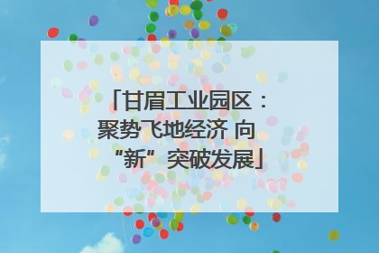 甘眉工业园区：聚势飞地经济 向“新”突破发展