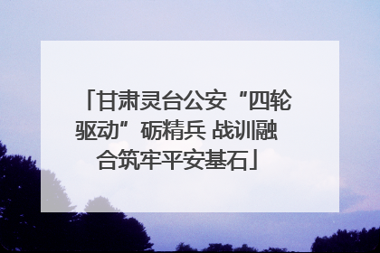 甘肃灵台公安“四轮驱动”砺精兵 战训融合筑牢平安基石